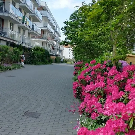 Apartament Limonka-2